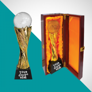 Crystal Globe Award with wooden box